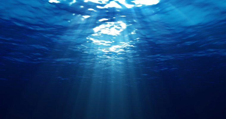 THE MARRIAGE OF TWO MODALITIES: BIODYNAMIC CRANIOSACRAL THERAPY AND SOMATIC EXPERIENCING